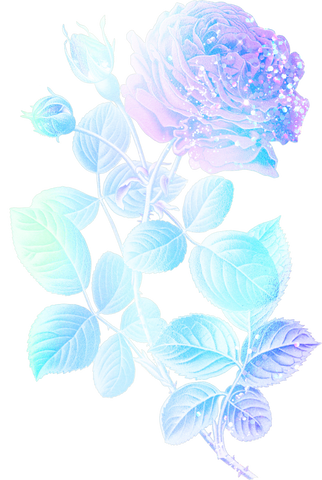 Iridescent Flower Clipart